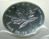 Kanada Maple Leaf 2010 1 Oz Silber