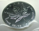 Kanada Maple Leaf 2009 1 Oz Silber
